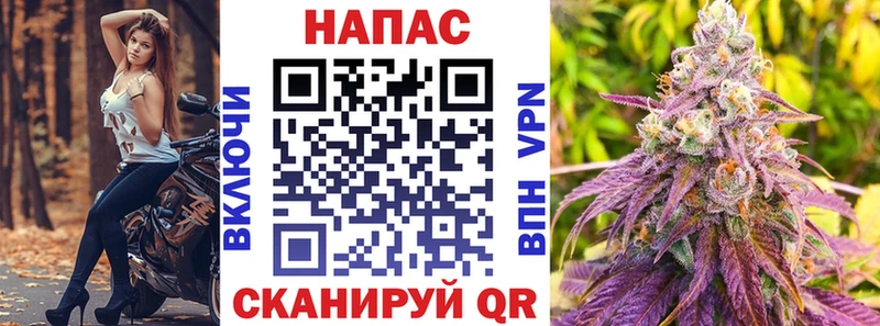 Шишки марихуана конопля  Кизилюрт 